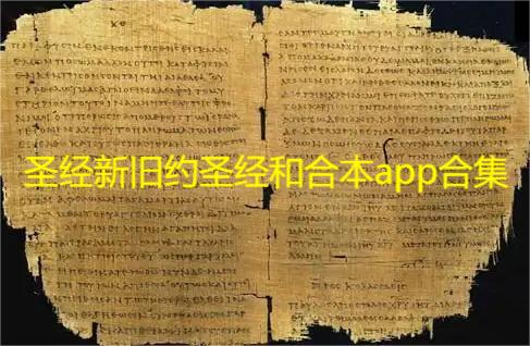 圣经新旧约圣经和合本app合集