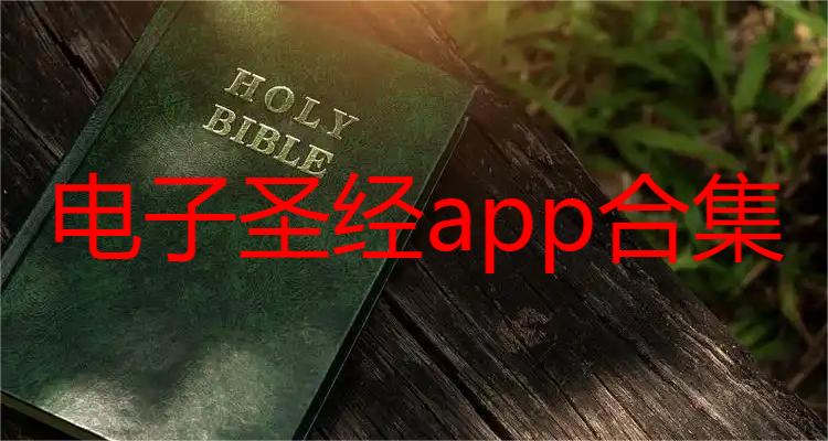 电子圣经app合集
